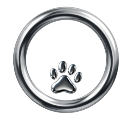 © Darurah Dogs 2025. All rights reserved.